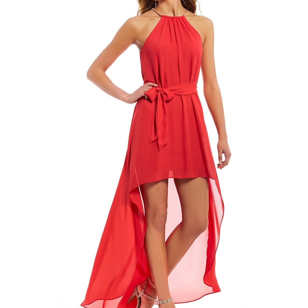 💰⬇️🌺NWT! Dress with beautiful Metal Collar/strap